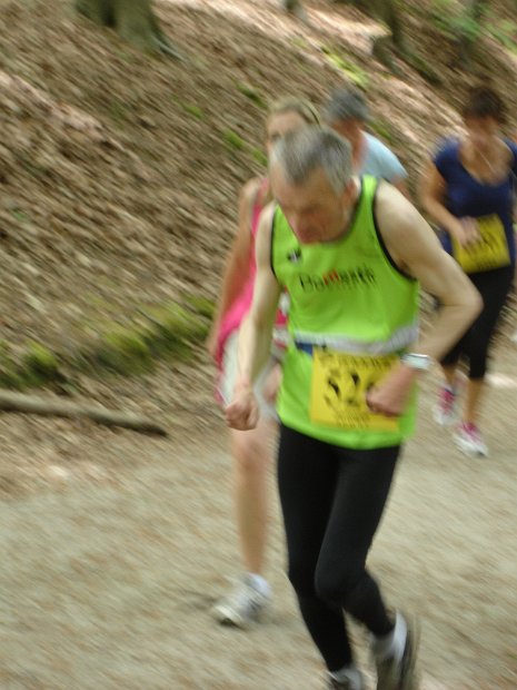 Hyacinten 2014 - 17